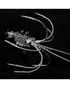 3D Metal Puzzle DIY Steampunk Giant Squid Metal Assembly Model Kits Creative Ornament